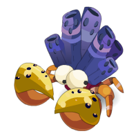 Kurasso Craboral