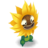 Wild Sunflower