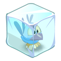 Kwakus